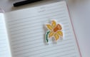 Handmade Stickers