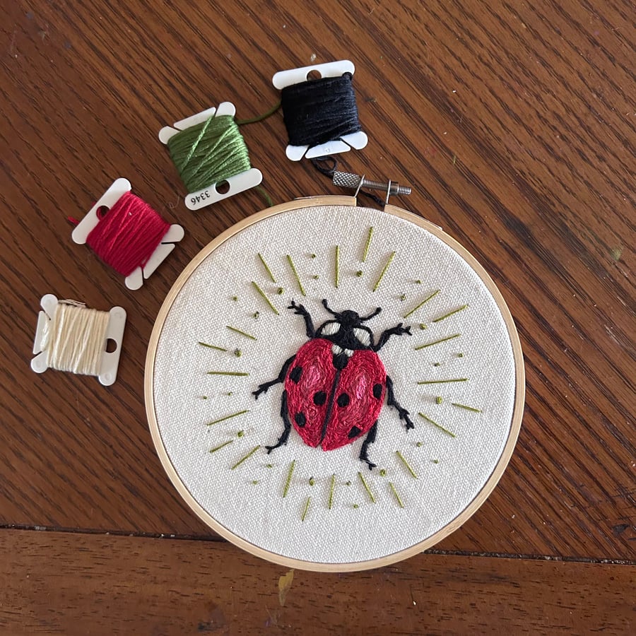 Ladybird Embroidery DIY Kit