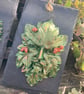 Green Man and Forest Goddess Hangings - Image 3
