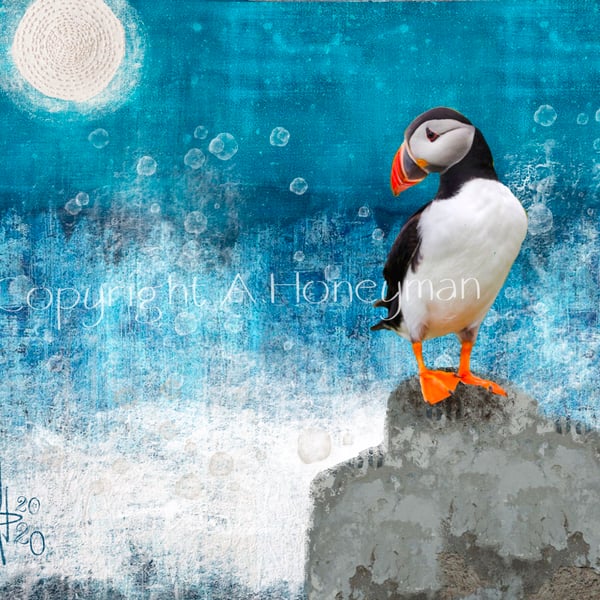 Puffin mixed media art print