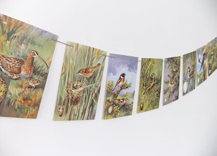 SALE - British Bird Bunting