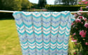 Baby Blankets and Shawls