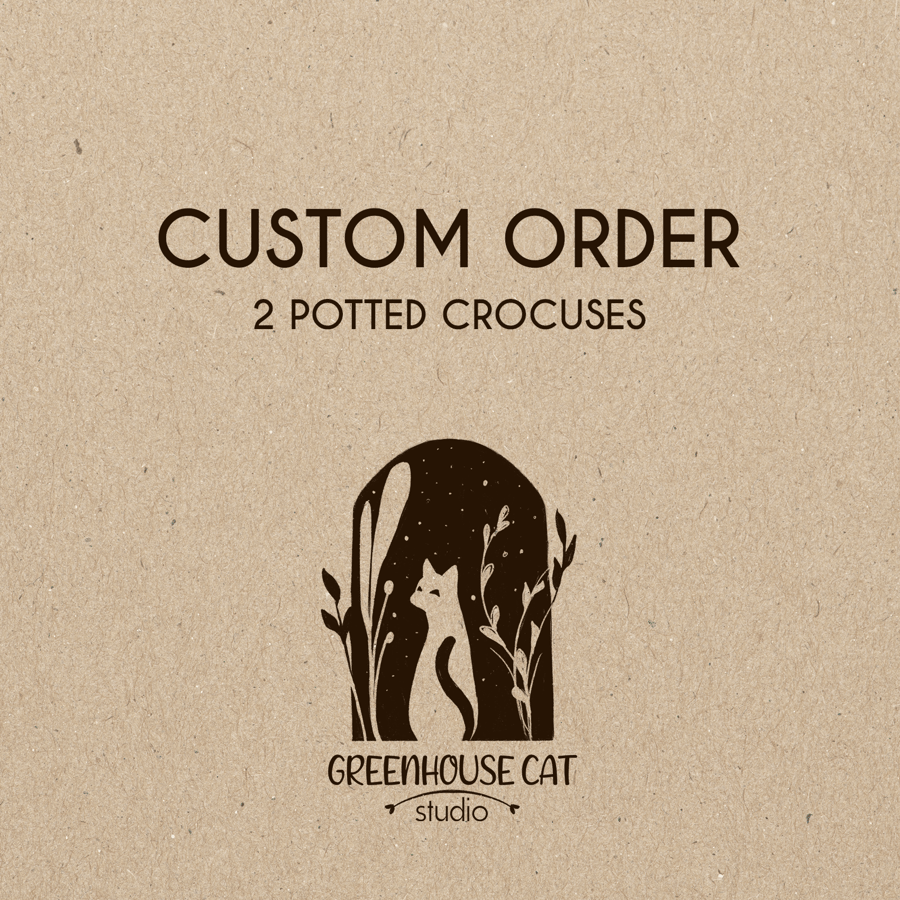 Custom Order - 2 potted crocuses (reserved for H.)