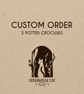Custom Order - 2 potted crocuses (reserved for H.) - Image 1