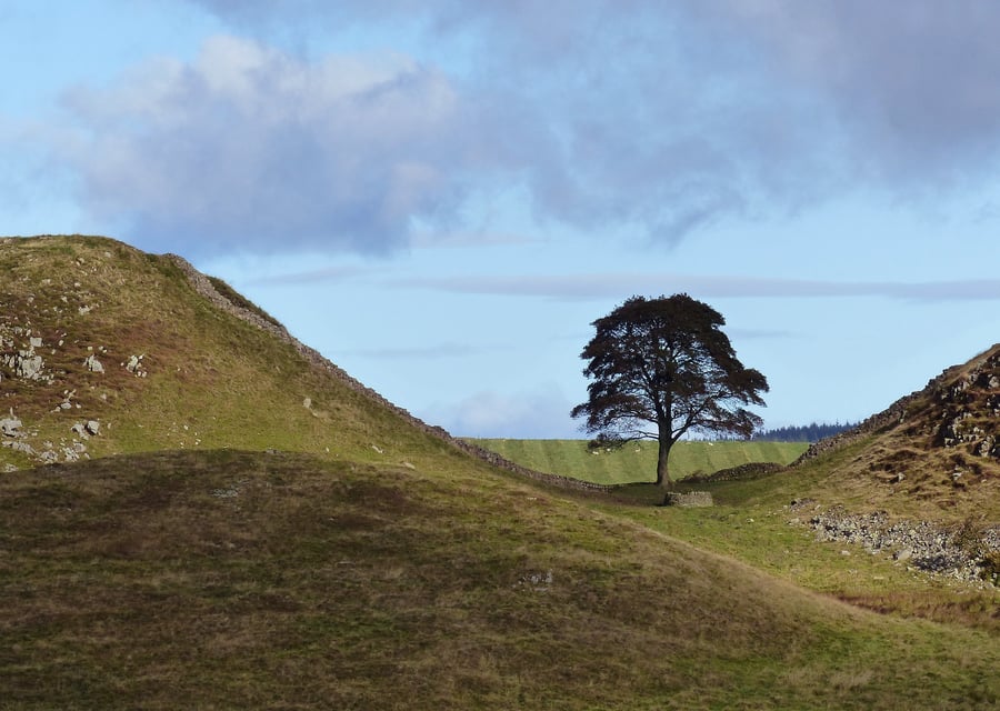 Sycamore Gap, Hadrians Wall