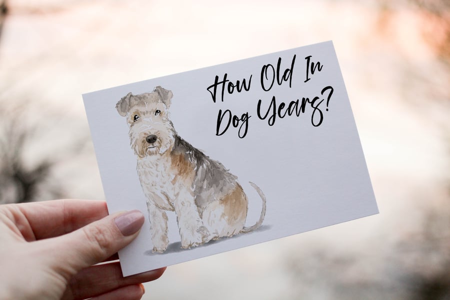 Lakeland Terrier Dog Birthday Card, Dog Birthday Card