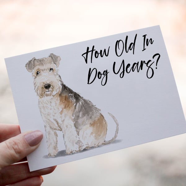 Lakeland Terrier Dog Birthday Card, Dog Birthday Card