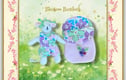 Baby Pip Squeaks, Baby Cotton Tails and Clothes