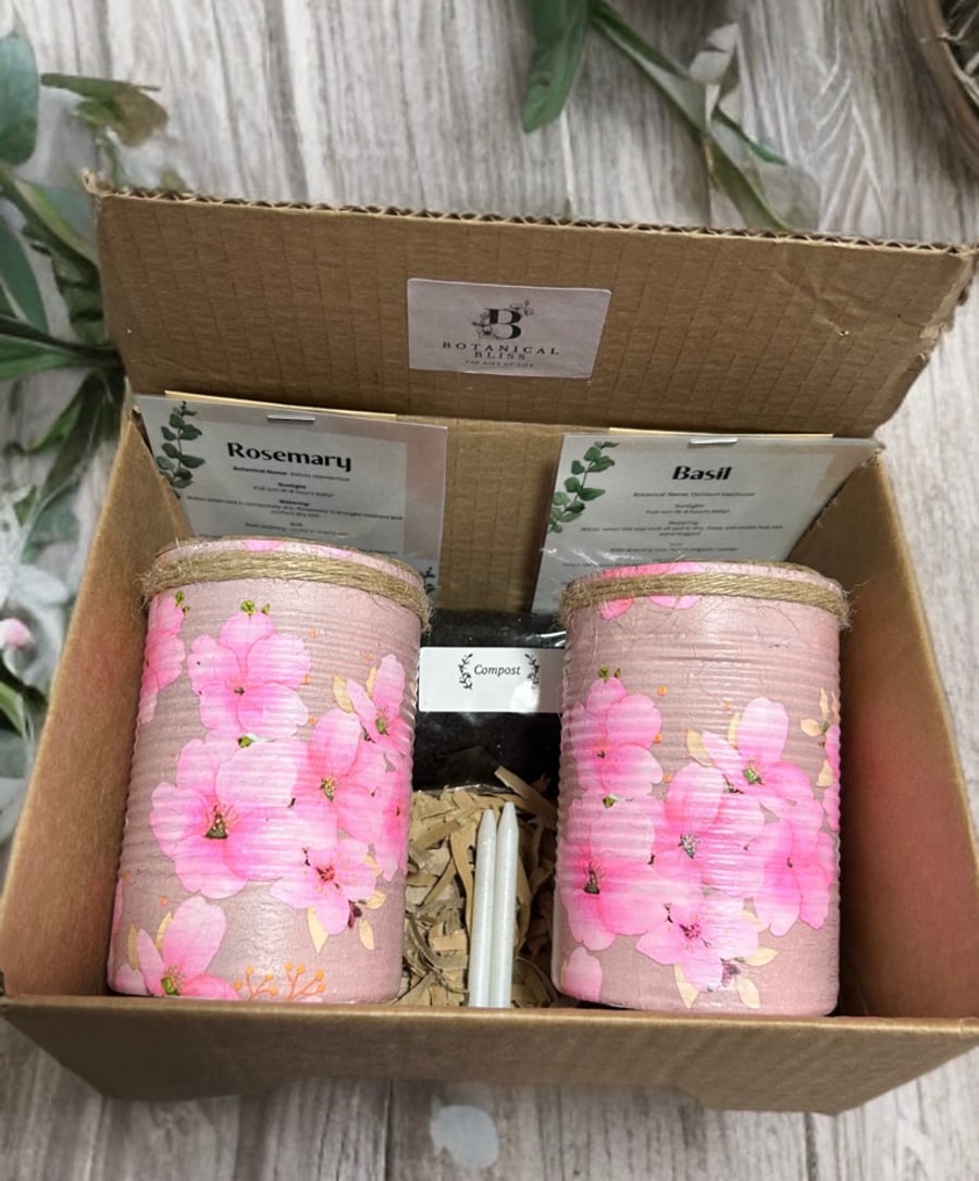 Cherry blossom Handmade Recycled Eco-Friendly Indoor Kitchen Herb Gift Set