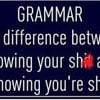 Grammar Police Fridge Magnet