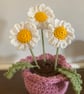 Hand crochet daisies in handmade pot 