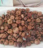 Dried Baby Pumpkins Autumn Potpourri Scented with Pumpkin Spice - Image 4
