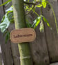 Personalised Wooden Plant Label – Natural Oak Finish, Weather-Resistant - Image 2