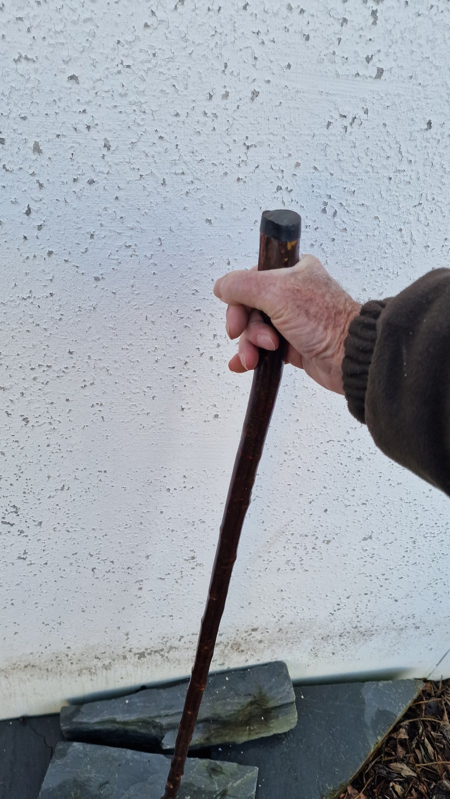 Blackthorn staff, Walking stick, Hiking staff 