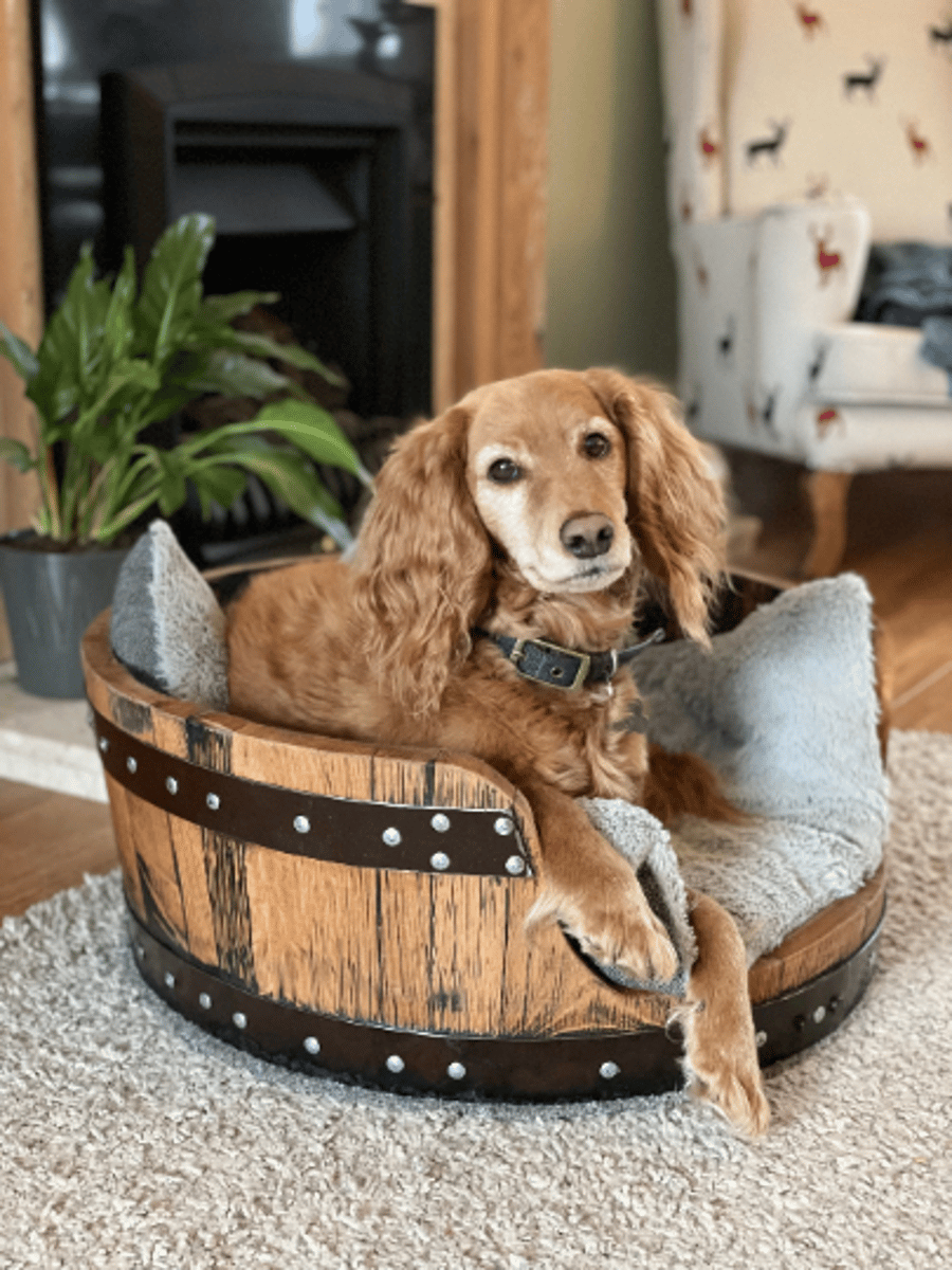 Recycled Solid Oak Whisky Barrel Medium Dog Bed