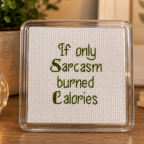 Handmade Cross Stitch Coaster – Funny Sarcastic Quote Gift