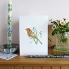 Robin and Snowdrops Greetings card