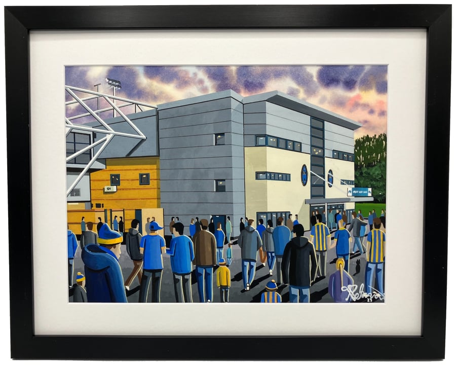Image of Shrewsbury, Framed & Unframed Town Art Print Football FC New Meadow Stadium Gift