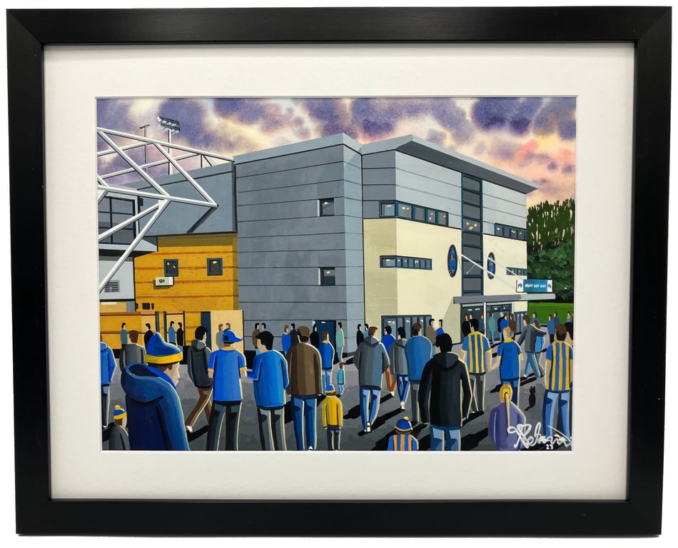Shrewsbury, Framed & Unframed Town Art Print Football FC New Meadow Stadium Gift