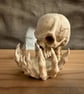 Weeping Skull Backflow Incense Burner 3D Printed Hand Painted Phantom Gothic