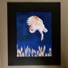 Midnight Owl Mounted Giclee Print