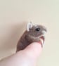 Mischief Mouse - Rufus - Image 8