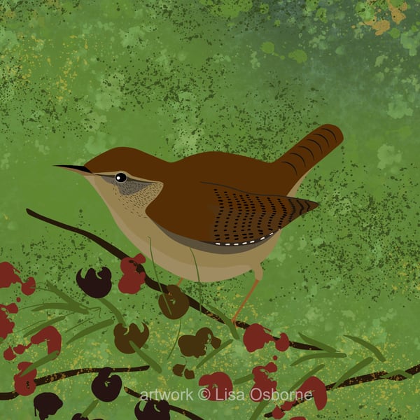Wren - bird art - bird print