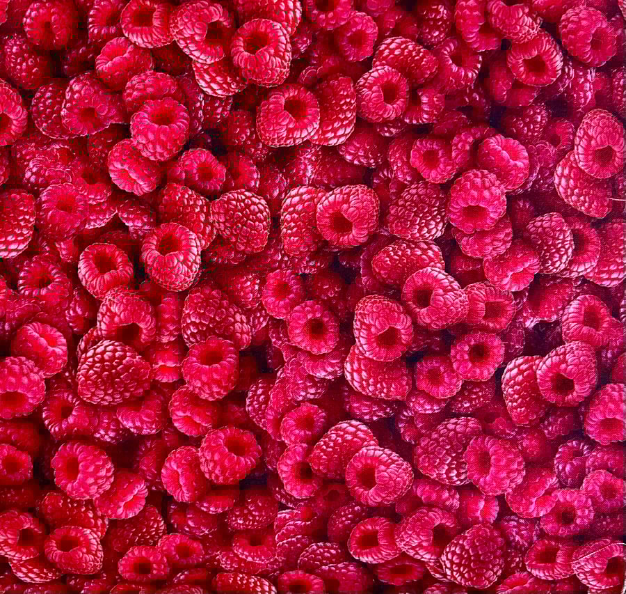 Raspberries Fat Quarter