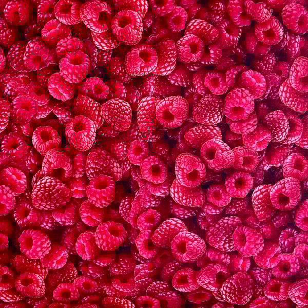 Raspberries Fat Quarter