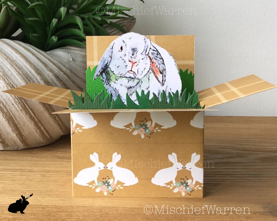 3D Rabbit  Box Card. Personalised for any occasion. 