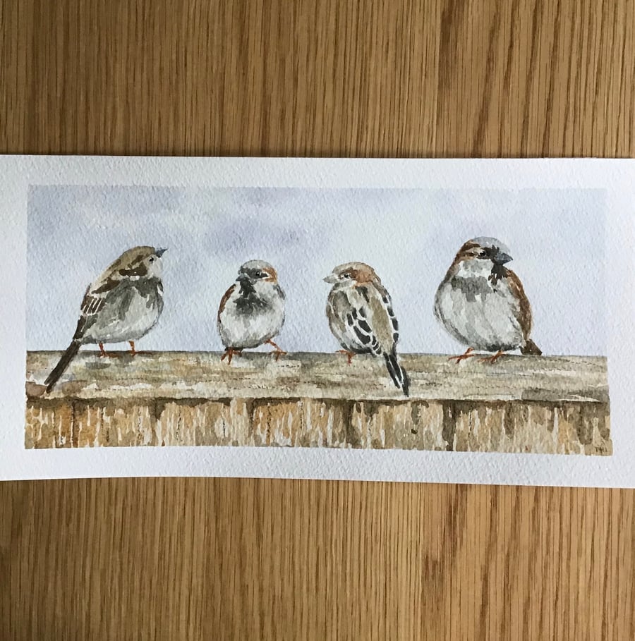 Four Sparrows original watercolour painting