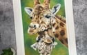 Fine Art Prints