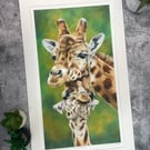 Limited Edition Fine Art Print of "Cwtches" Giraffes Coloured Pencil Art