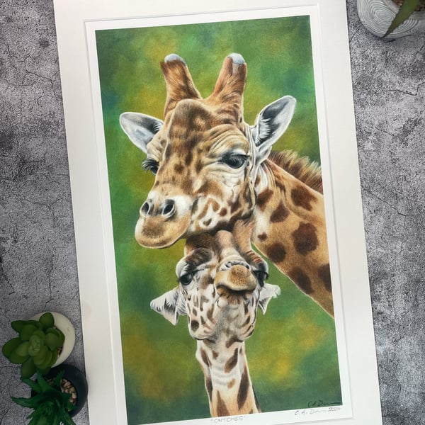 Limited Edition Fine Art Print of "Cwtches" Giraffes Coloured Pencil Art