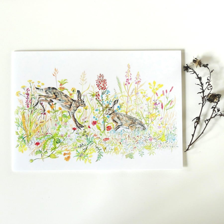 Hares in Field of Wild Flowers Greeting Card from Original Watercolour Painting