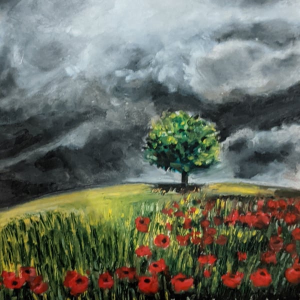 Stormy skies and poppy field
