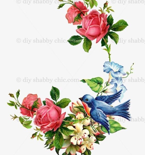 Waterslide Wood Furniture Vintage Image Transfer DIY Shabby Chic Vintage Swallow