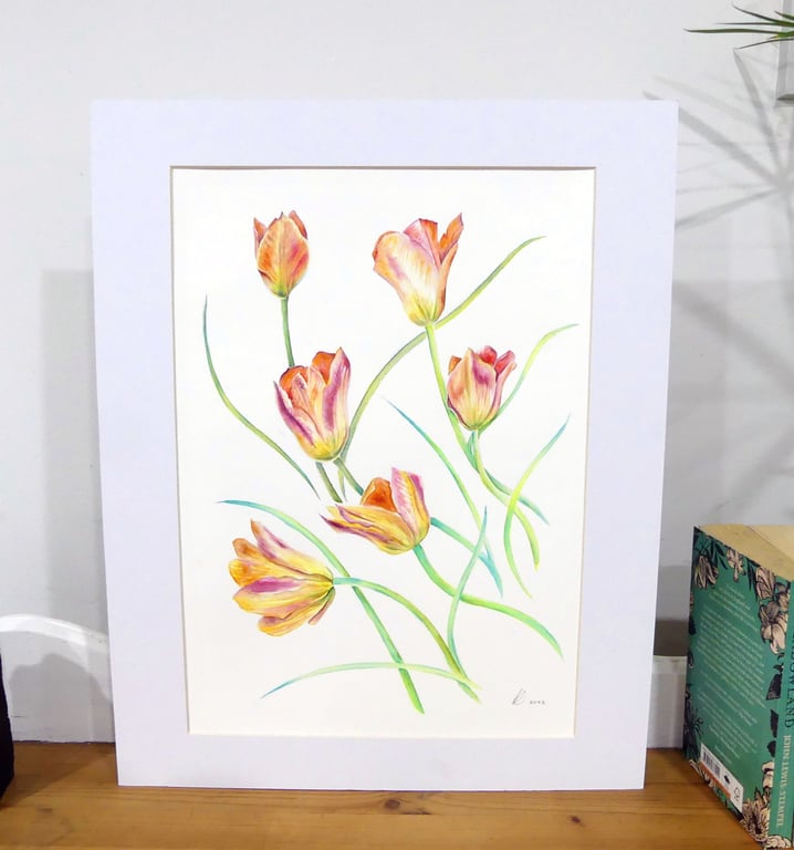 Tulip Flowers Botanical Watercolour Original Painting