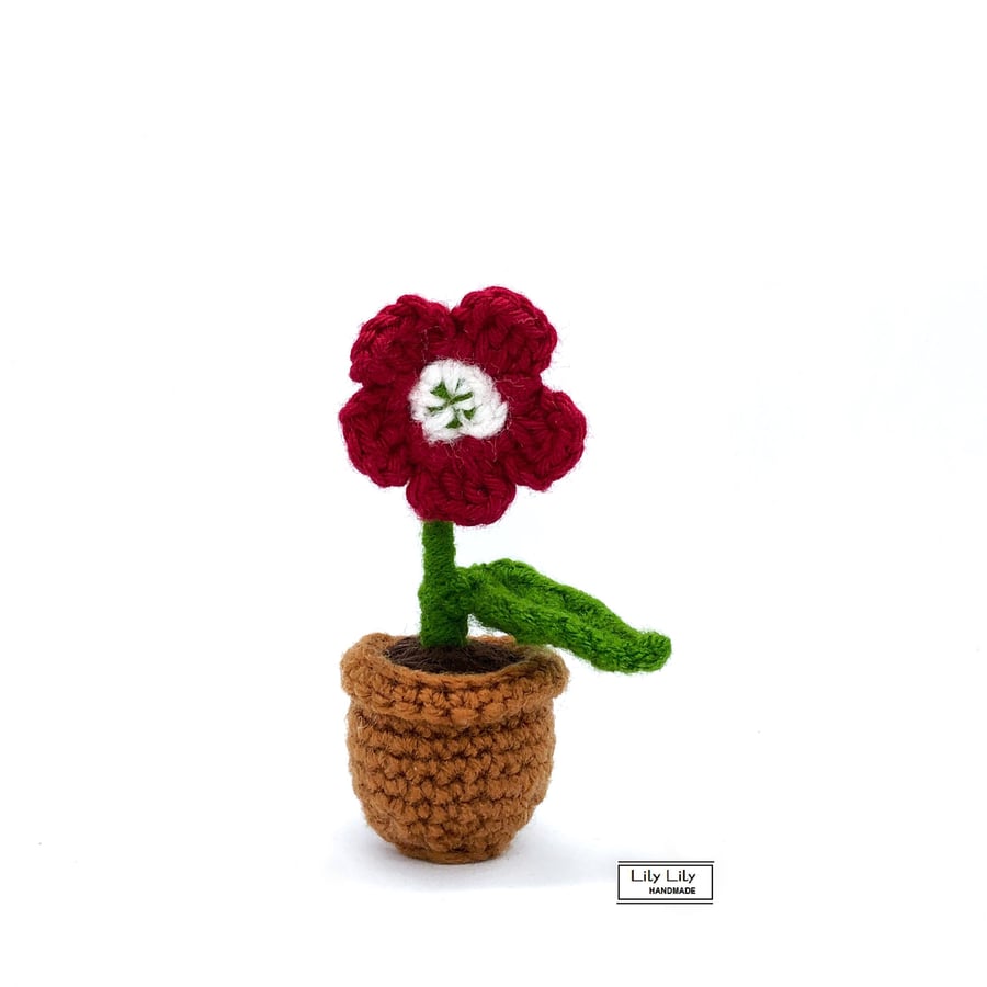 Everlasting potted red flower, crocheted by Lily Lily Handmade 
