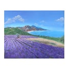 Lavender field & a white rabbit