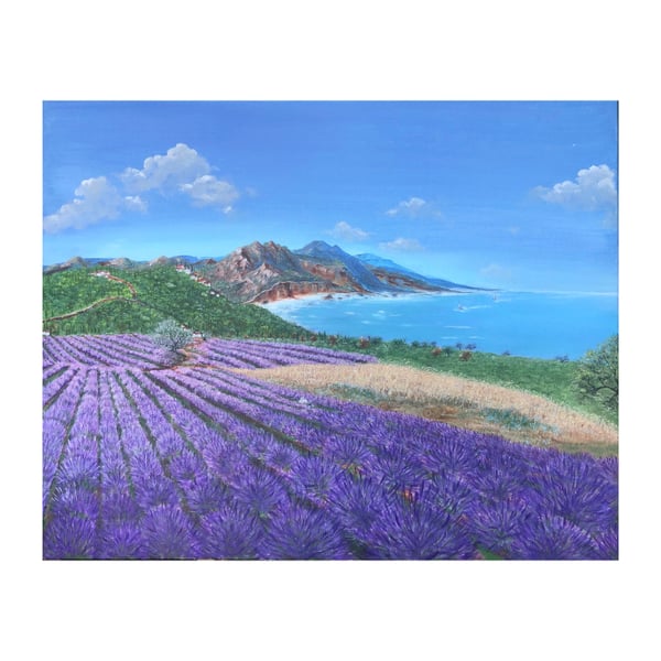 Lavender field & a white rabbit