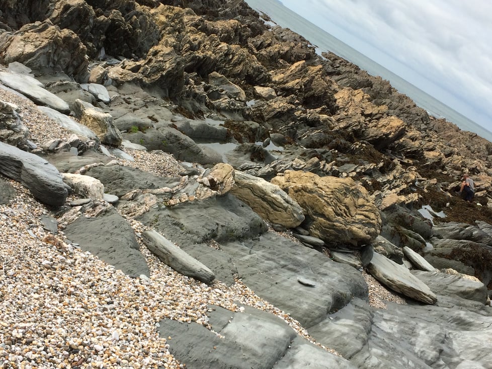 Buttons On The Rocks