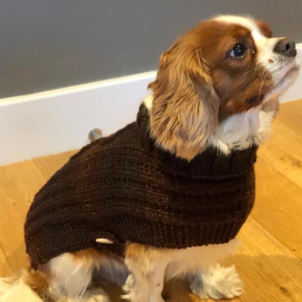 Knitted Thick And Warm Dark Chocolate Brown Large Dog Coat (R794)