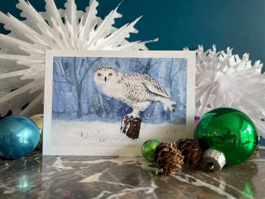 Pack of eight 'Snowy Owl' Christmas cards