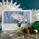 Pack of eight 'Snowy Owl' Christmas cards