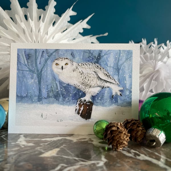 Pack of eight 'Snowy Owl' Christmas cards