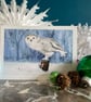 Pack of eight 'Snowy Owl' Christmas cards