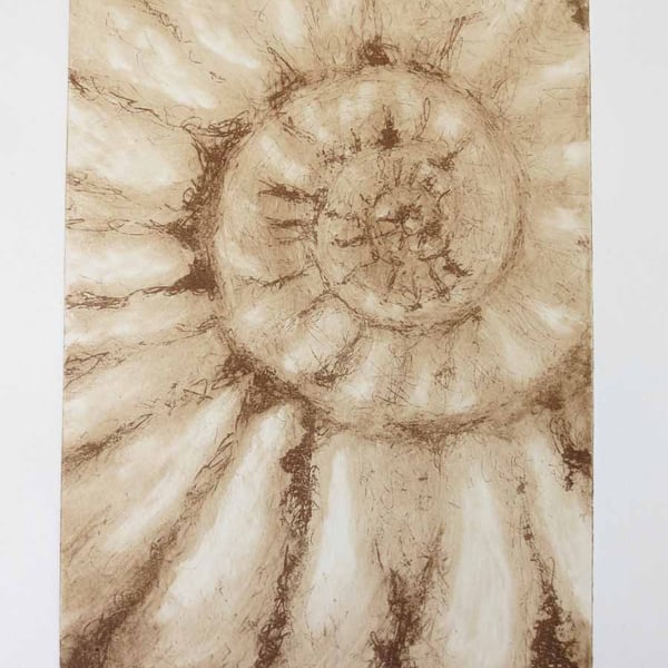 Original solar ammonite fossil etching no.4 in a limited edition of 95