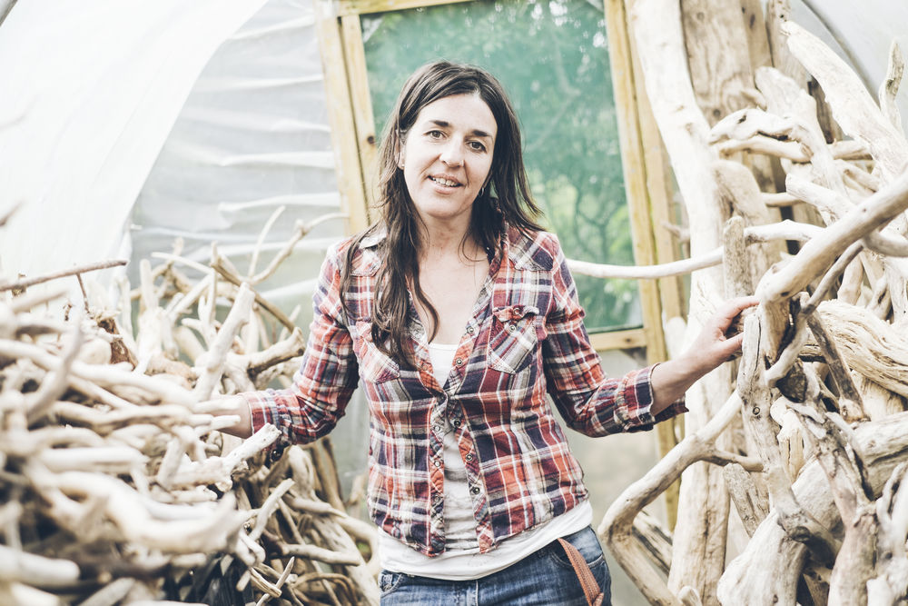 Julia's Driftwood Furniture, Accessories & Lighting