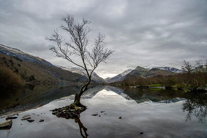 Jonathan Need Glass Studio